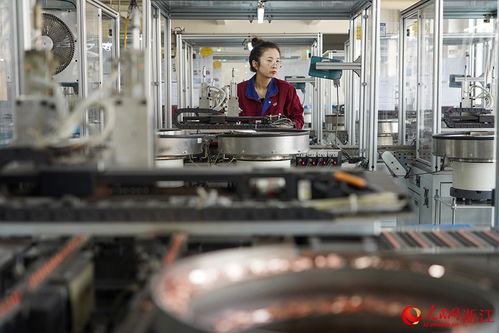 浙江慈溪 外贸订单回暖 加工企业赶工忙