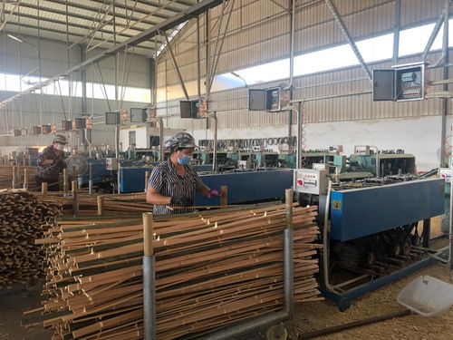 护了生态 鼓了口袋 湖南耒阳大力发展林业经济加工
