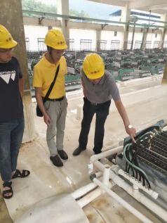 深入加工企业 关注秸秆回收——直击审计一线的绿色突围